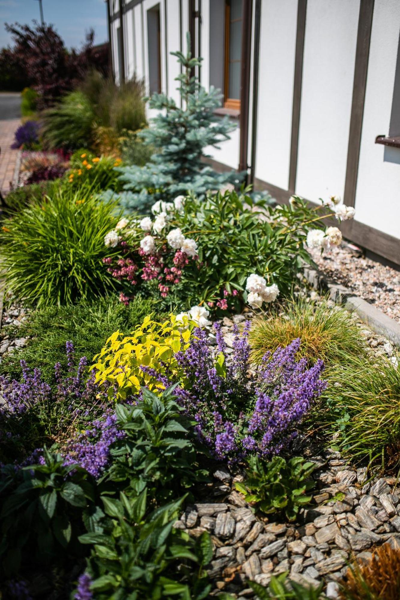 Nordowi Dwor Bed & Breakfast Celbowo Exterior photo